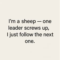 Sheep